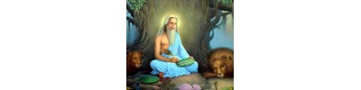 அகஸ்திய முனி